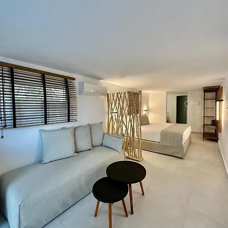 Ξενοδοχείο με διαμερίσματα Sofos Mykonos 4*